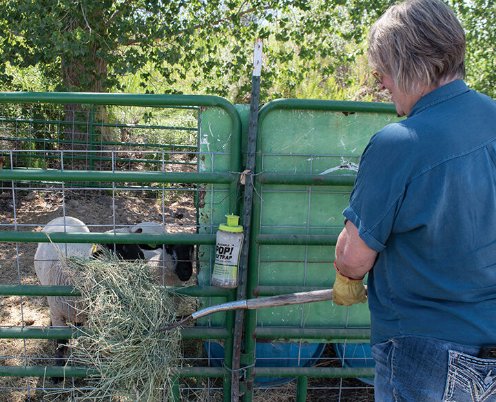 Ranch kid turned Western artist